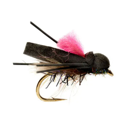 Procter's Flip Flop Pink Go-Fish