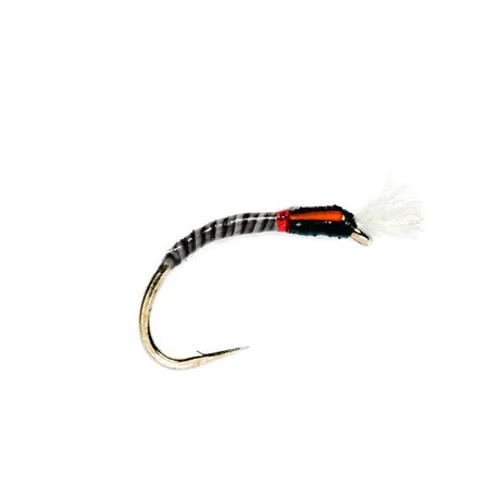 Quill Buzzer Black Go-Fish