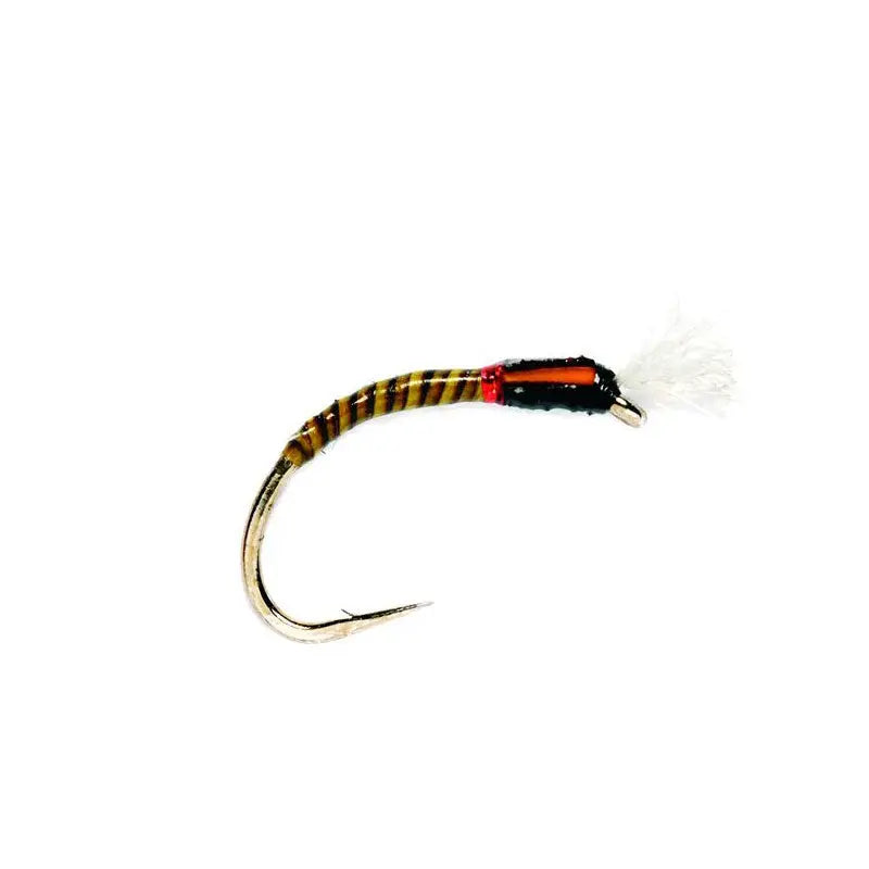 Quill Buzzer Olive Go-Fish #12