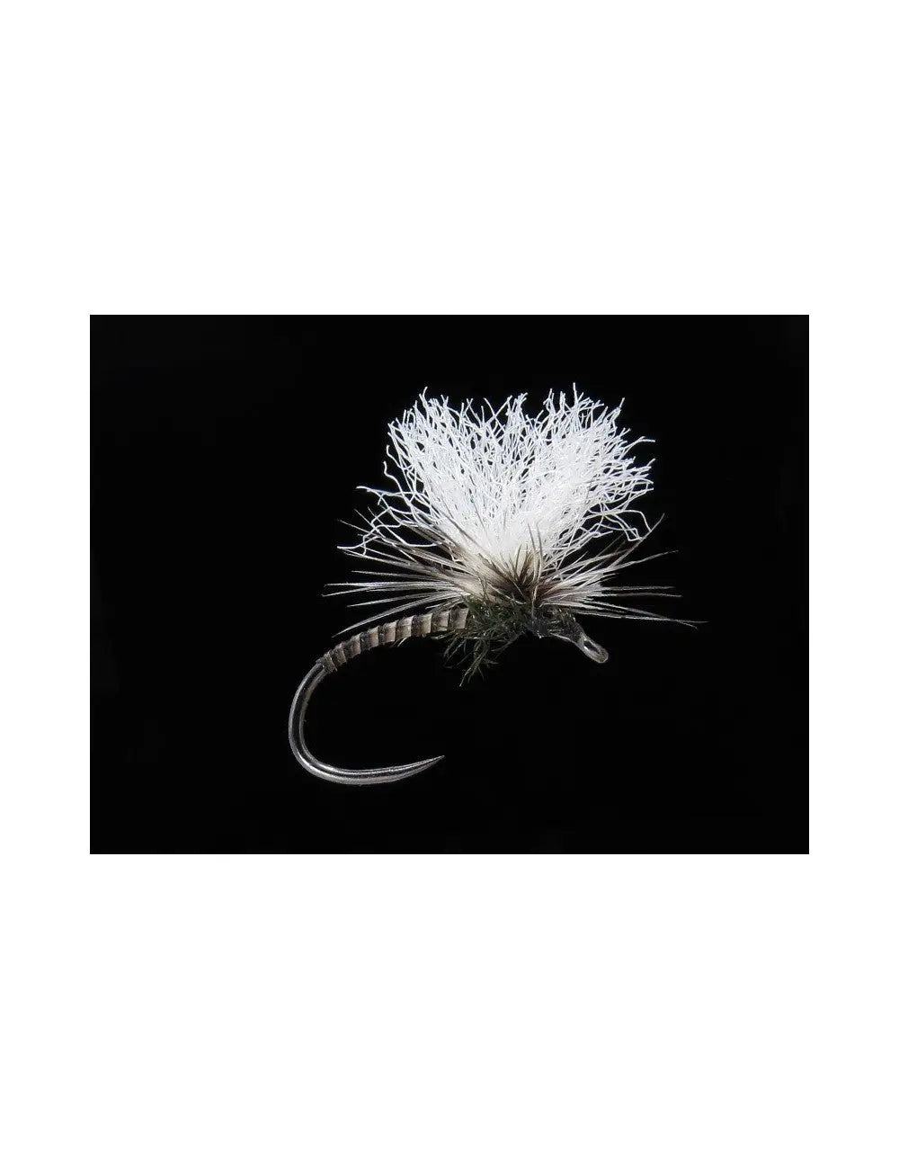 Quillhammer natural Go-Fish