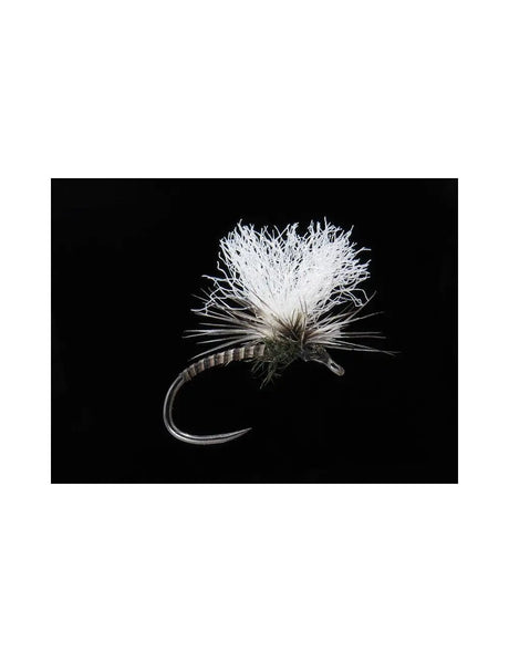 Quillhammer natural Go-Fish