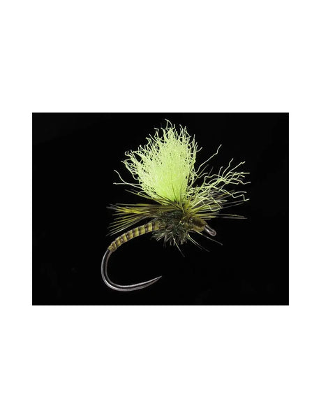Quillhammer olive Go-Fish