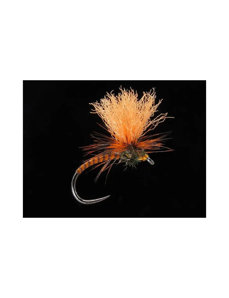 Quillhammer orange Go-Fish