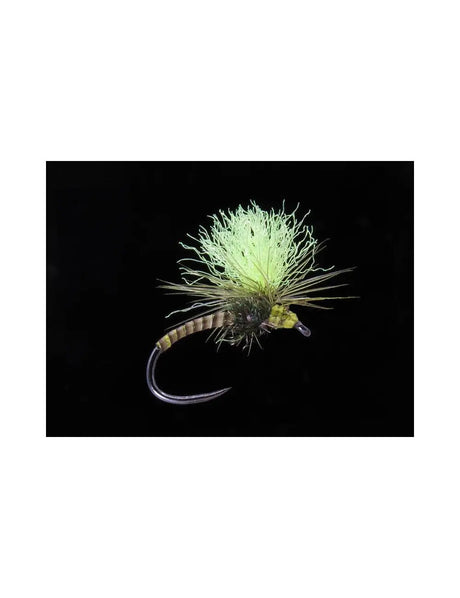 Quillhammer yellow Go-Fish