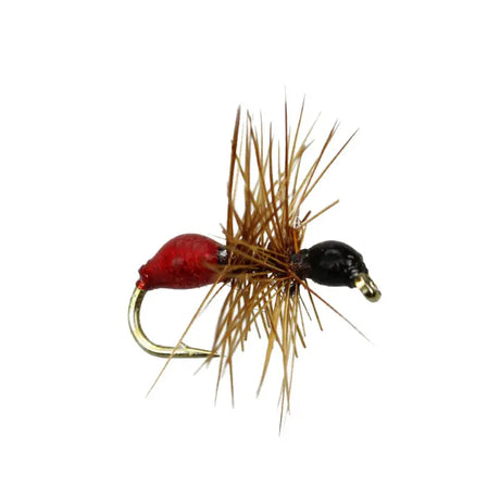 Red Black Epoxy Ant Go-Fish