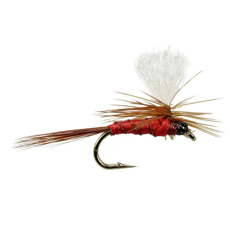 Red Parachute Go-Fish