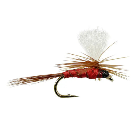 Red Parachute Go-Fish