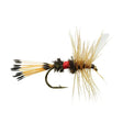 Royal Coachman Go-Fish