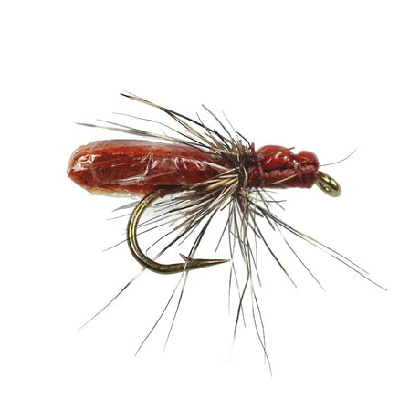 Rusty Foam Bug Go-Fish