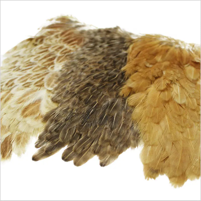 Spalla di gallina - Hen Saddle Go-Fish