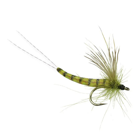 Spinner Hair Wings - Olive Go-Fish