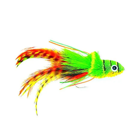 Swimming Frog Orange Belly #2 Go-Fish Default Title