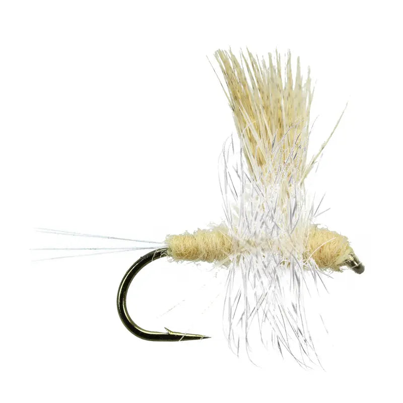 Thorax Cahill Go-Fish