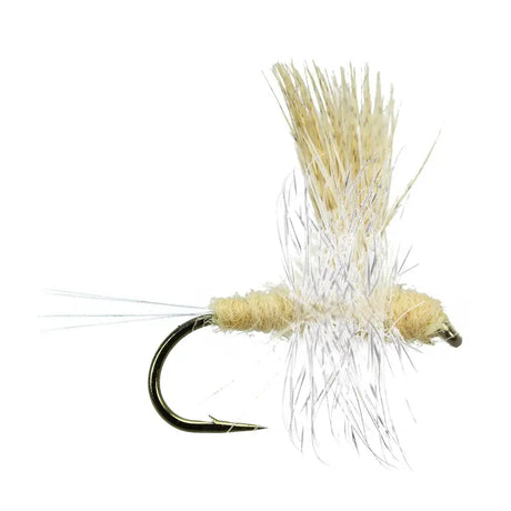 Thorax Cahill Go-Fish