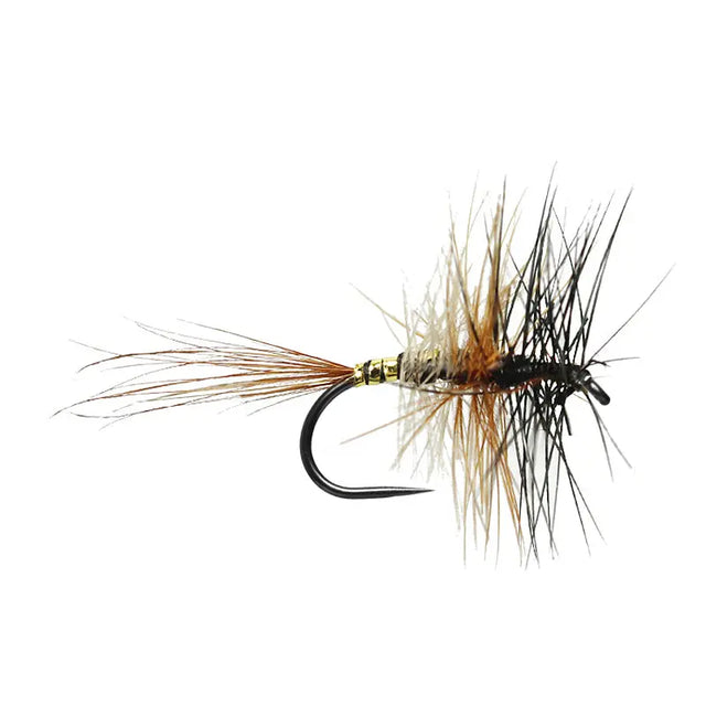 Traun Tricolor Palmer BL Go-Fish #10
