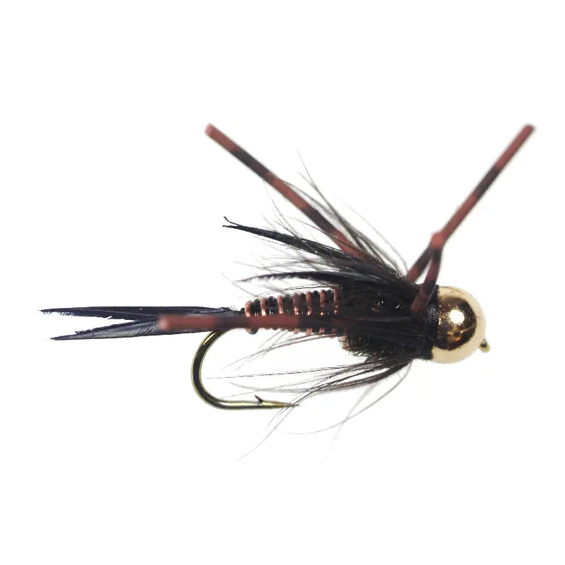 Tungsten Nympho Maniac Black Go-Fish