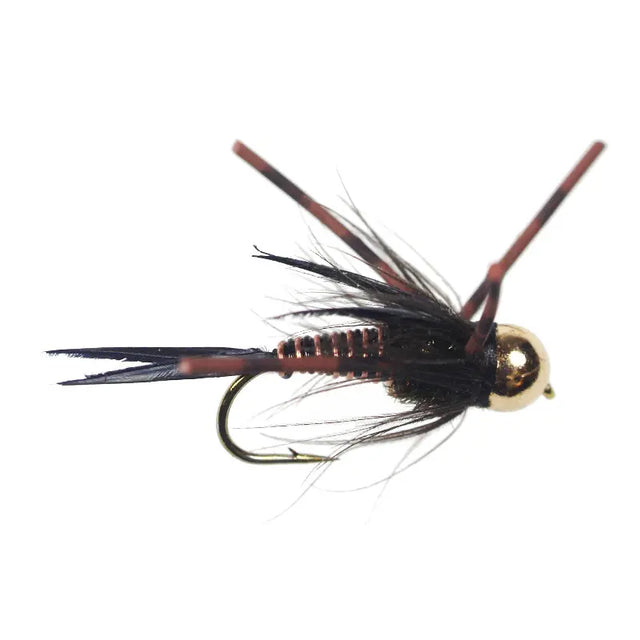 Tungsten Nympho Maniac Black Go-Fish
