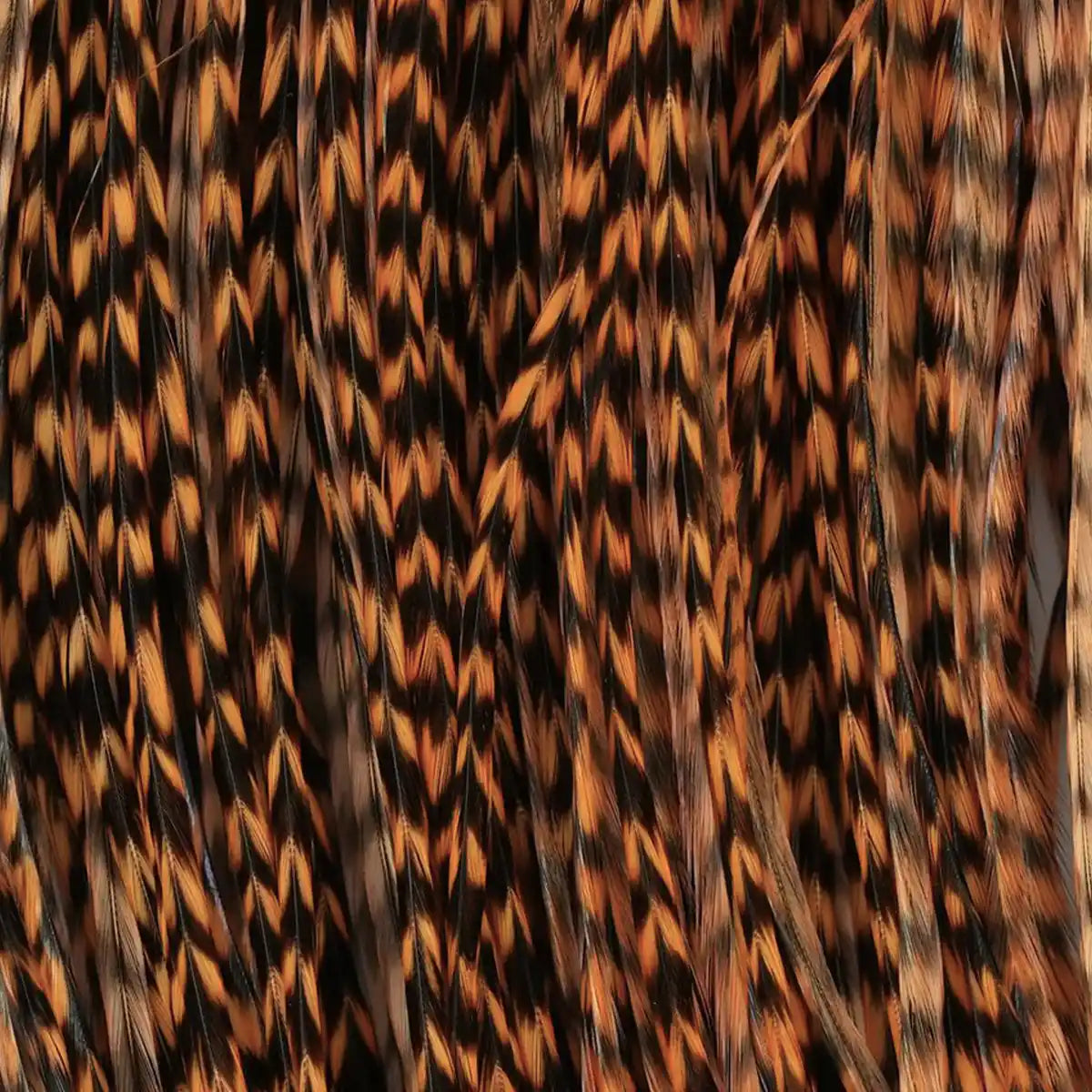 Halbe Sattel-Bälge Whiting Midge Bronze