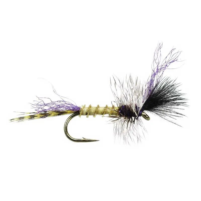 Wikes Donatello Go-Fish