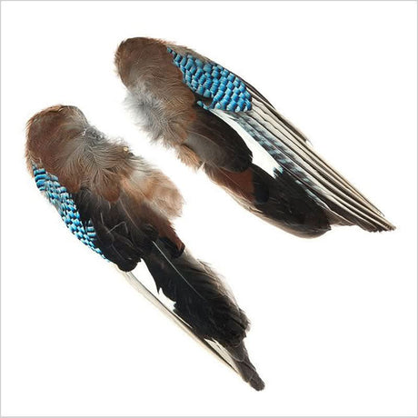 Ali di ghiandaia - Blue Jay Wings - Go - Fish