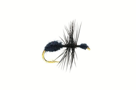 Ant Black - Go - Fish