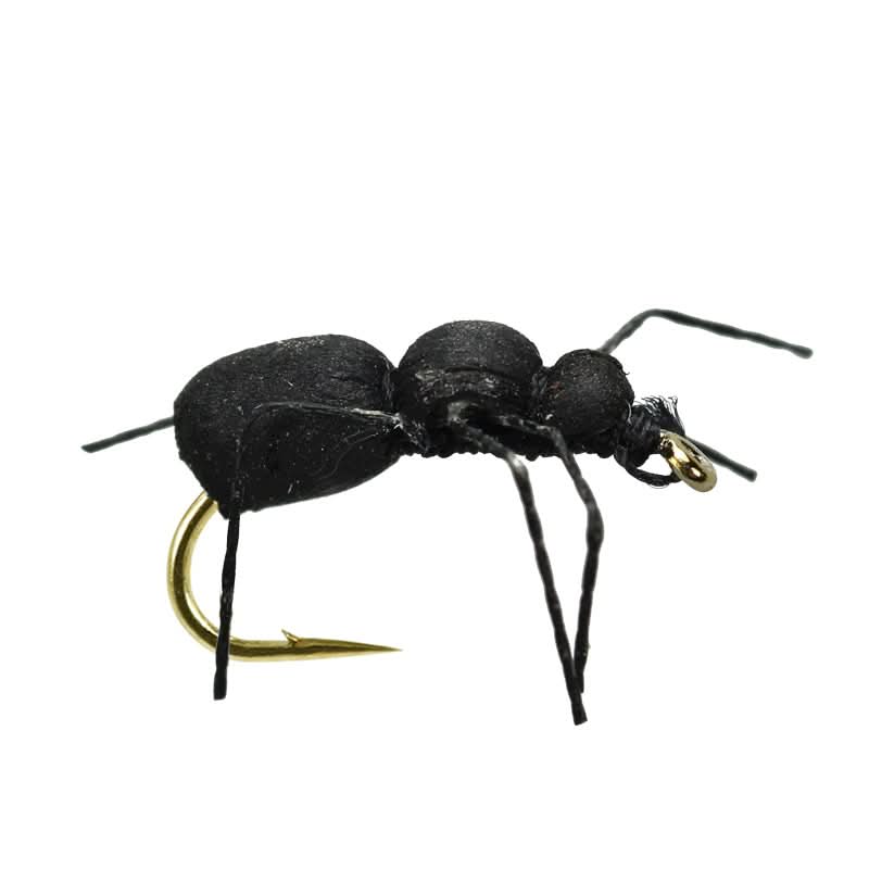 Black Ant - Go - Fish