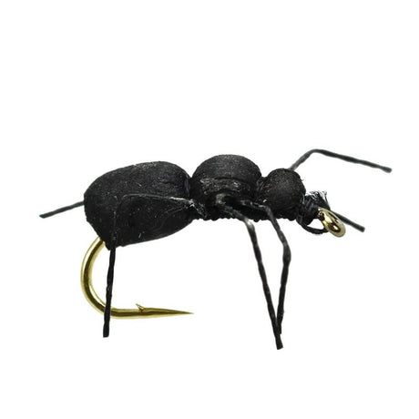 Black Ant - Go - Fish