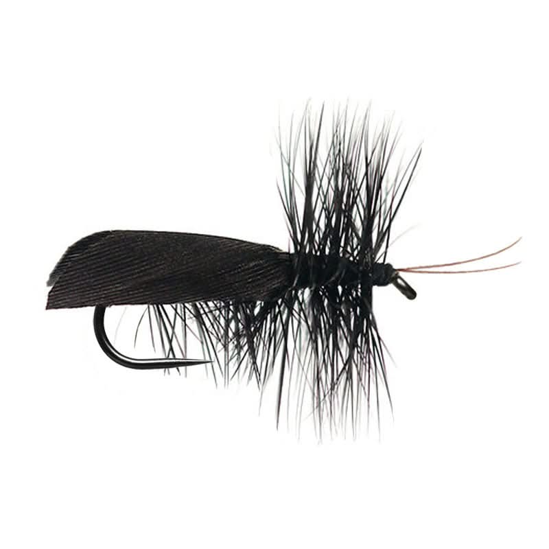 Black Sedge Roof Wing BL - Go - Fish