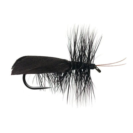 Black Sedge Roof Wing BL - Go - Fish