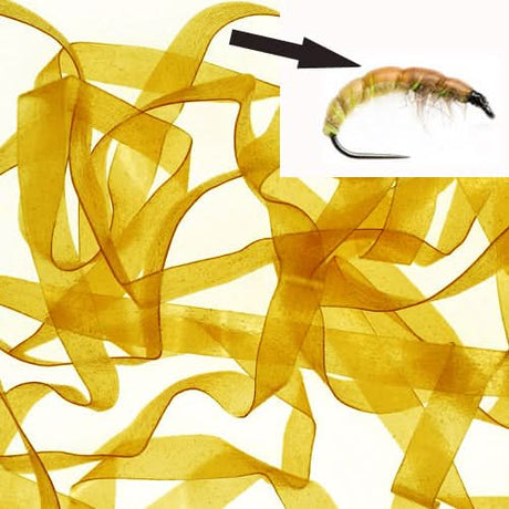 Body Stretch 4mm - Go - Fish