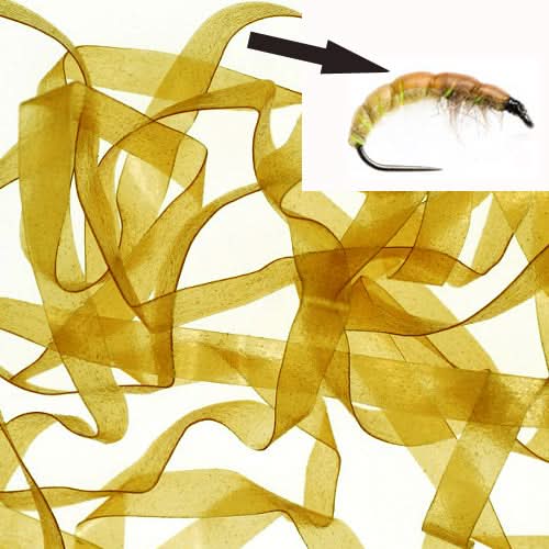 Body Stretch 4mm - Go - Fish