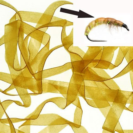 Body Stretch 4mm - Go - Fish