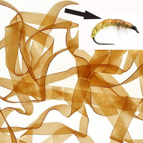 Body Stretch 4mm - Go - Fish