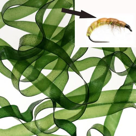 Body Stretch 4mm - Go - Fish