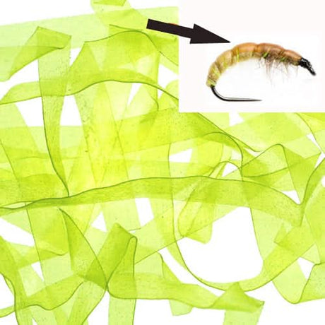 Body Stretch 4mm - Go - Fish