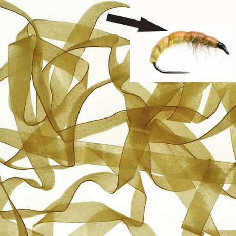 Body Stretch 4mm - Go - Fish