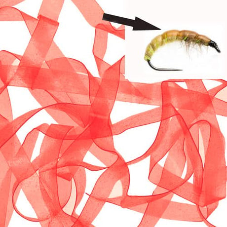 Body Stretch 6mm - Go - Fish