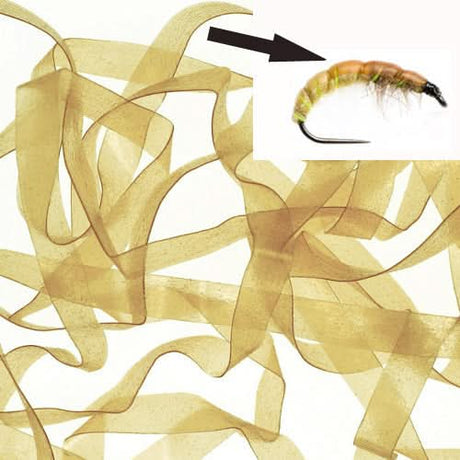 Body Stretch 6mm - Go - Fish