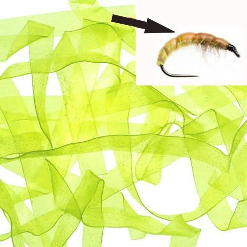 Body Stretch 6mm - Go - Fish