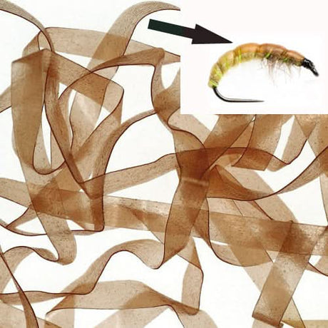 Body Stretch 6mm - Go - Fish