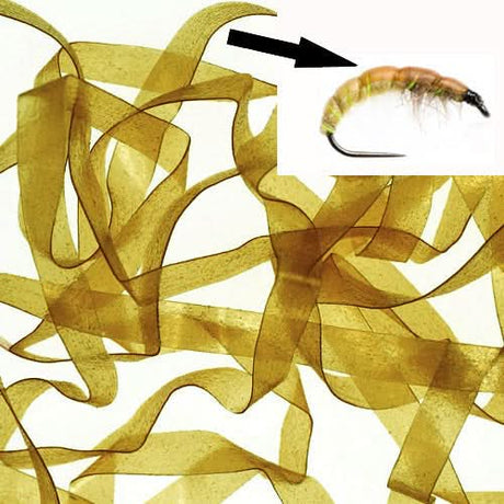 Body Stretch 6mm - Go - Fish