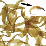 Body Stretch 6mm - Go - Fish