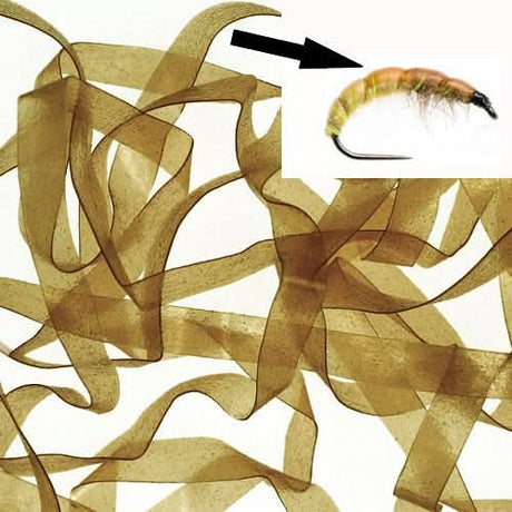 Body Stretch 6mm - Go - Fish