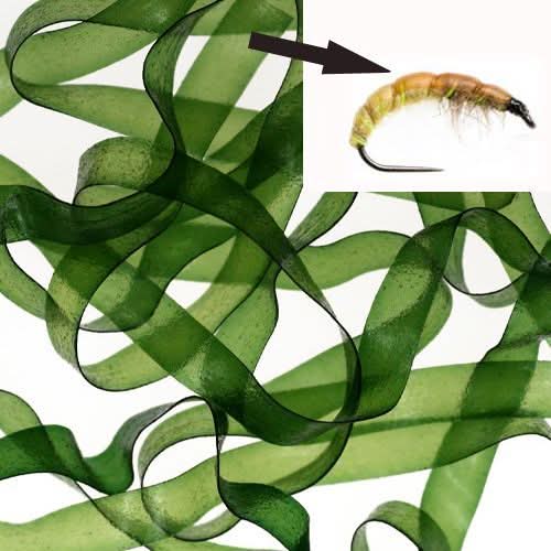 Body Stretch 6mm - Go - Fish