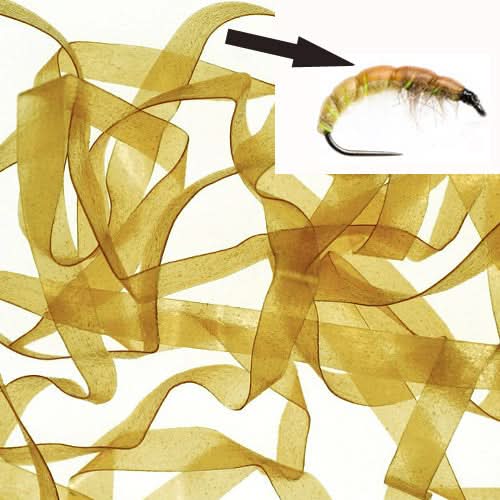 Body Stretch 6mm - Go - Fish