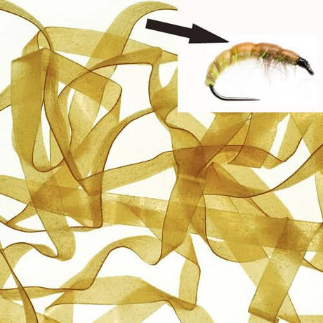 Body Stretch 6mm - Go - Fish
