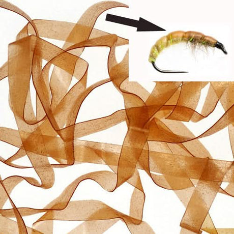 Body Stretch 6mm - Go - Fish