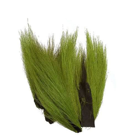 Bucktail Coda di cervo ritaglio - Go - Fish