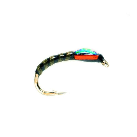 Buzzer Black/Yellow - Go - Fish