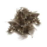 Piume Cul de Canard 1 grammo natural brown